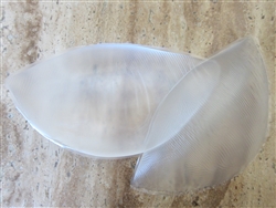 Clear Silicone Push-Up Pads